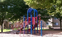 Photo31527