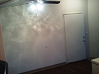 Photo35329