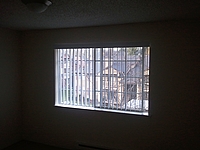 Photo35338