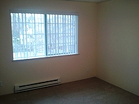 Photo35340