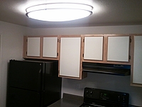 Photo35342